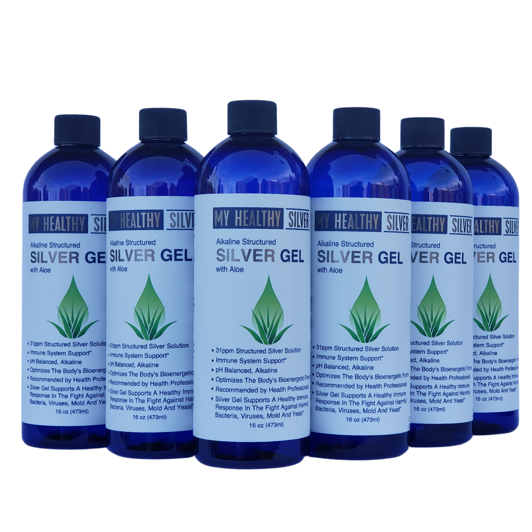 My Healthy Silver Gel with Aloe Family Pack | 6 Bottles