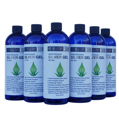 My Healthy Silver Gel with Aloe Family Pack | 6 Bottles